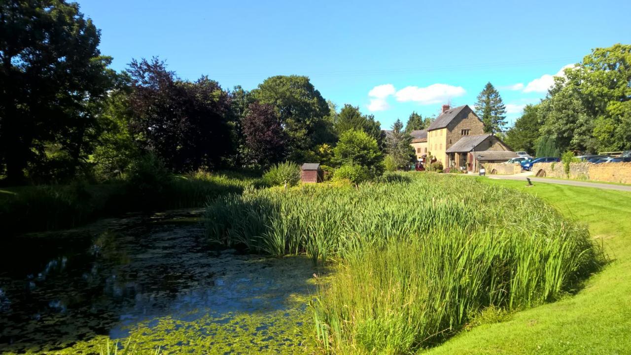 Haselbury Mill Hotel Crewkerne Buitenkant foto